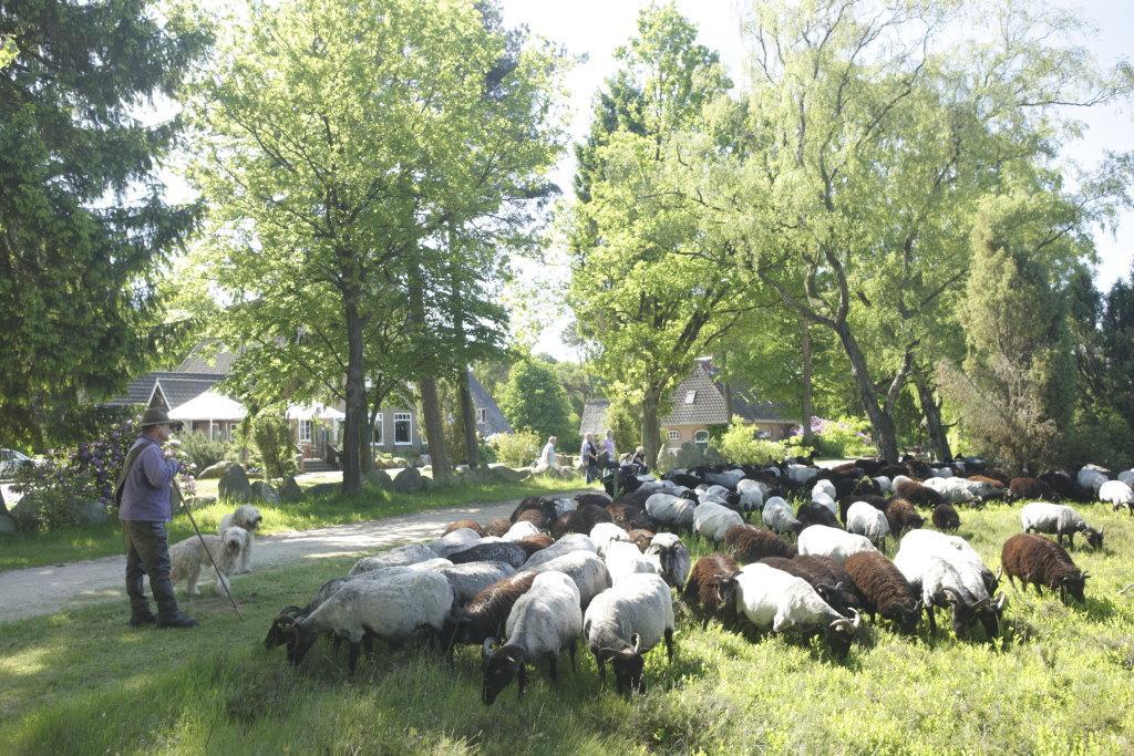 Gasthof Menke Niederhaverbeck Buitenkant foto